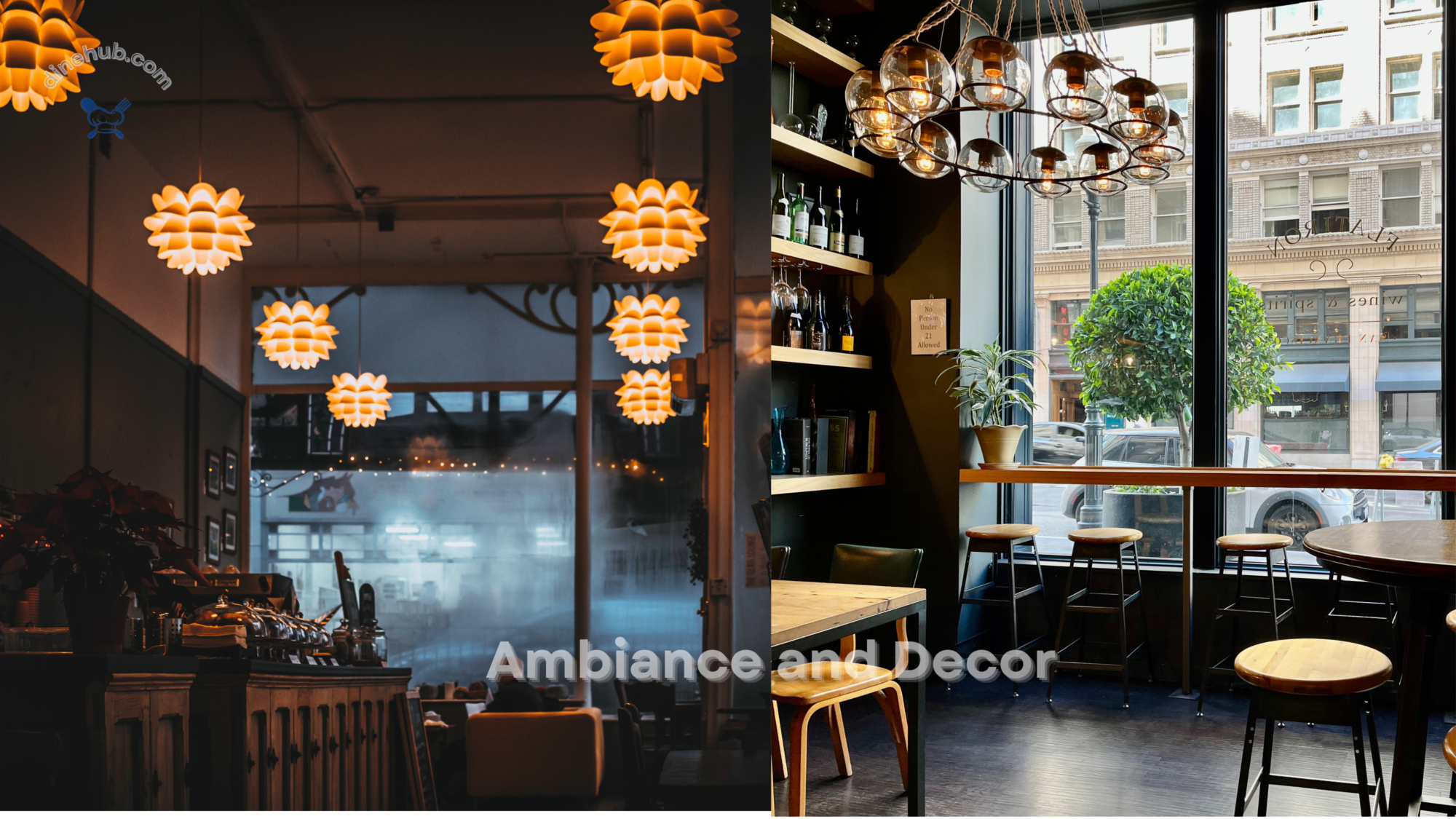 Ambiance and Decor